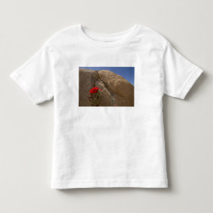 T-shirt Pour Les Tous Petits Claret cup ou cactus de Mojave en fleurs