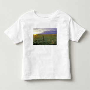 T-shirt Pour Les Tous Petits Clôture en fil de fer barbelé dans le nord-est du