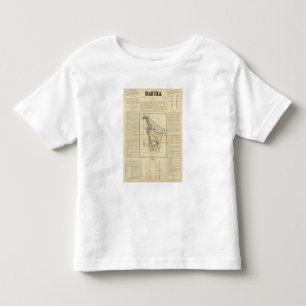 T-shirt Pour Les Tous Petits Coahuila, Mexique 2