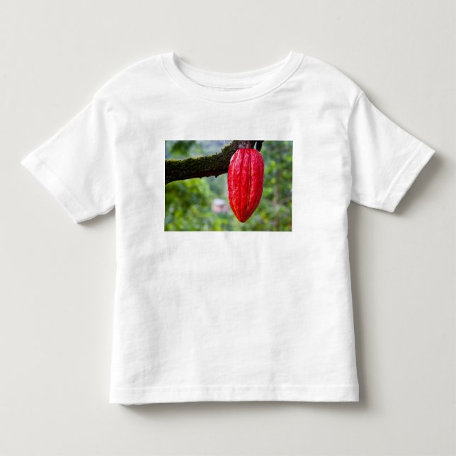 T-shirt Pour Les Tous Petits cocod (Devant)