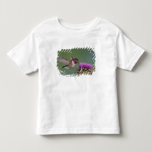 T-shirt Pour Les Tous Petits Colibri à queue large, Selasphorus (Devant)