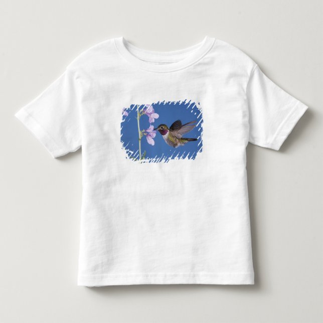 T-shirt Pour Les Tous Petits Colibri à queue large, Selasphorus (Devant)