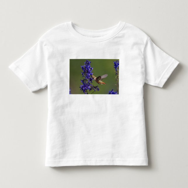 T-shirt Pour Les Tous Petits Colibri roux (Devant)