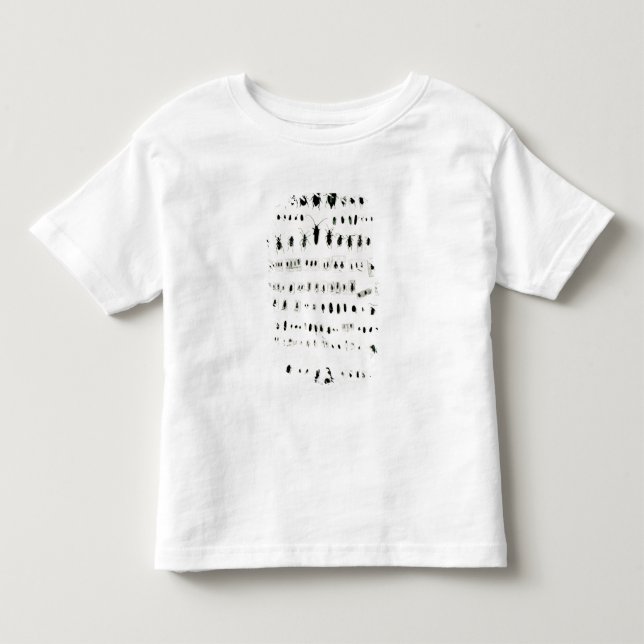 T-shirt Pour Les Tous Petits Collection de l'insecte de Darwin (Devant)