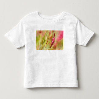 T-shirt Pour Les Tous Petits coloris