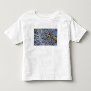 T-shirt Pour Les Tous Petits Conception/motif de tronc d'arbre. Pioineer Park, 