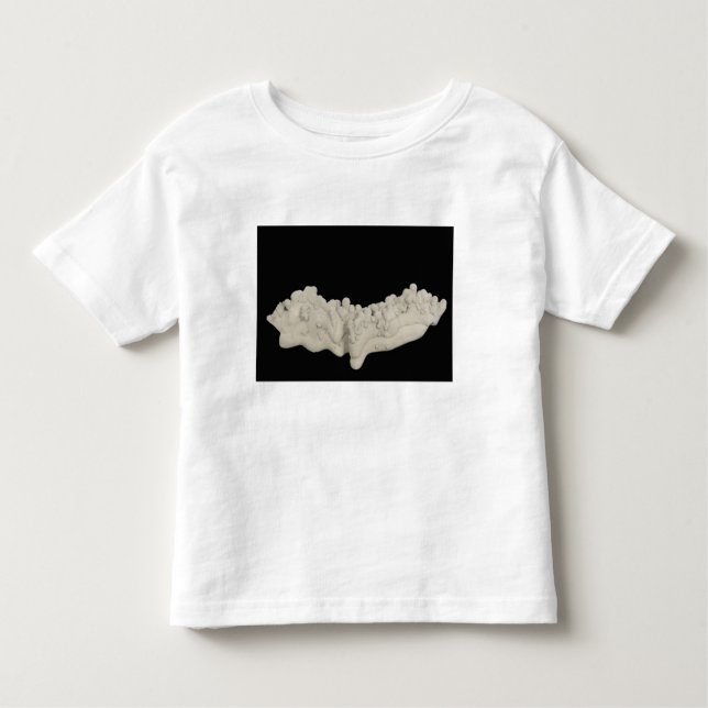 T-shirt Pour Les Tous Petits Concrétion d'argile (Devant)