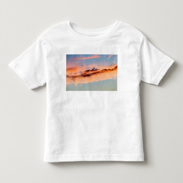 T-shirt Pour Les Tous Petits consommation d'attraction (Devant)