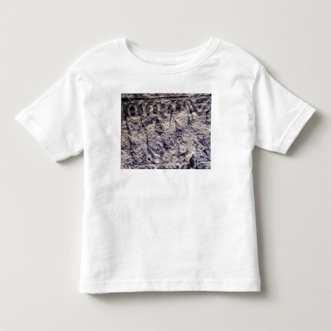 T-shirt Pour Les Tous Petits Coordonnée d'un cortège rituel (Devant)