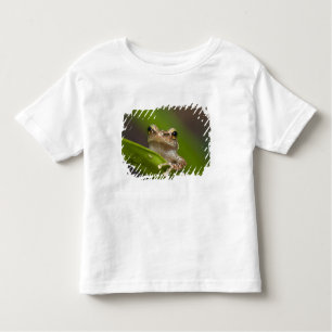 T-shirt Pour Les Tous Petits Coqui commun, Eleutherodactylus coqui