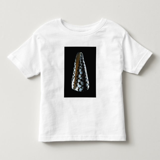 T-shirt Pour Les Tous Petits Coquille 2 de cône (Devant)