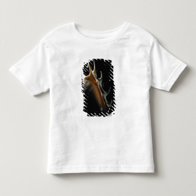 T-shirt Pour Les Tous Petits Coquille de conque (Devant)