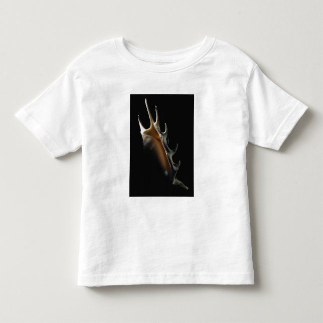 T-shirt Pour Les Tous Petits Coquille de conque (Devant)