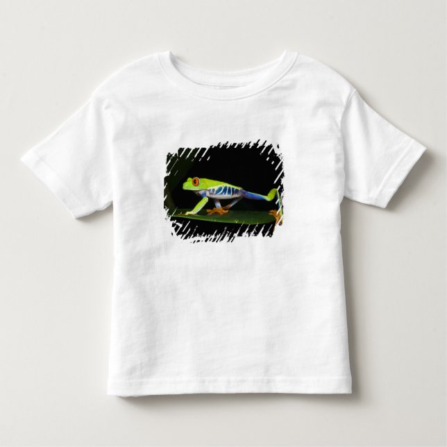 T-shirt Pour Les Tous Petits Costa Rica, Grenouille aux yeux rouges (Agalychnis (Devant)
