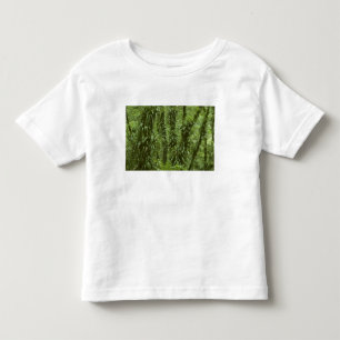 T-shirt Pour Les Tous Petits Costa Rica, Parc national d'Arenal, forêt tropical
