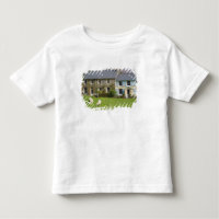 Cottages, Beddgelert, Gwynedd, Pays de Galles