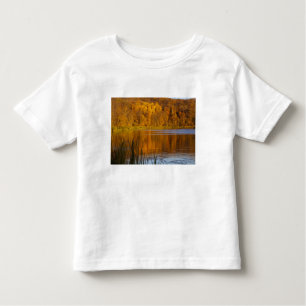 T-shirt Pour Les Tous Petits Couleurs d'automne dans le parc d'état de Maplewoo