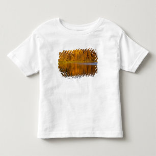 T-shirt Pour Les Tous Petits Couleurs d'automne dans le parc d'État Maplewood p