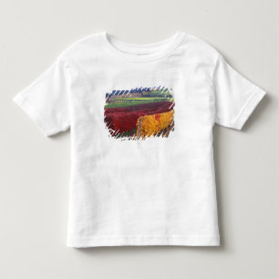 T-shirt Pour Les Tous Petits Couleurs d'automne rouges et jaunes intenses sur G