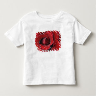 T-shirt Pour Les Tous Petits Couvre-tombe recouvert de roses rouges sur le site