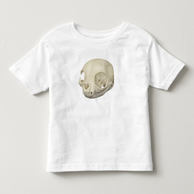 T-shirt Pour Les Tous Petits Crâne de chat (Devant)