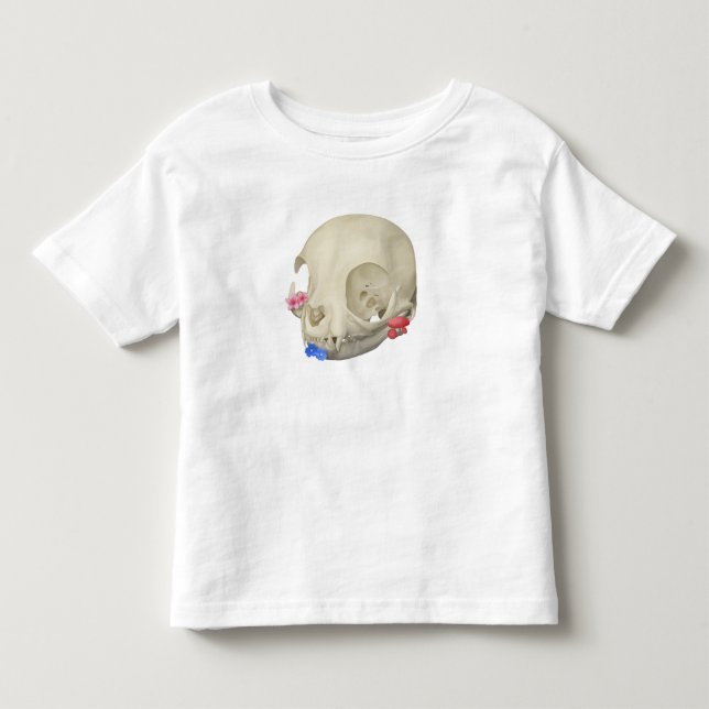 T-shirt Pour Les Tous Petits Crâne de chat avec Flore (Devant)