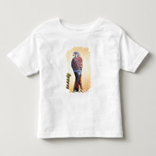 T-shirt Pour Les Tous Petits Crécerelle américaine, Falco sparverius, Originair
