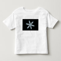 Cristal stellaire de neige