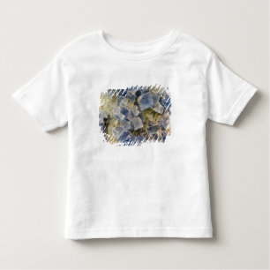 T-shirt Pour Les Tous Petits Cristaux bleus de fluorine dans Matrix