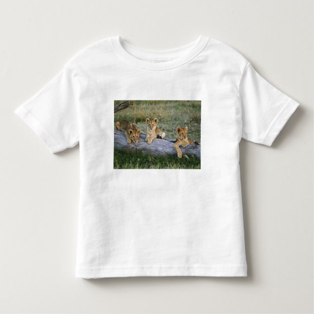 T-shirt Pour Les Tous Petits Cubes de lion sur le journal (Devant)