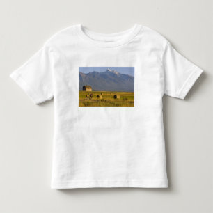 T-shirt Pour Les Tous Petits Cyclistes sur route dévalent une route rurale dans