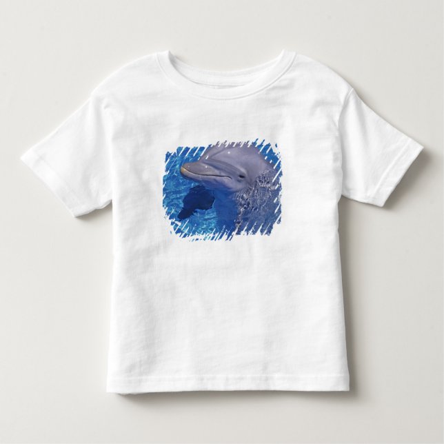 T-shirt Pour Les Tous Petits Dauphin en voie d'ébullition, Truncatus Tursiops (Devant)