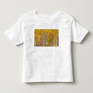 T-shirt Pour Les Tous Petits Des aspens d'automne dans le col Kebler, au Colora