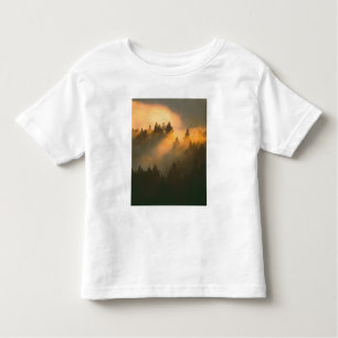 T-shirt Pour Les Tous Petits Des séquoias dans le brouillard côtier, comté de M