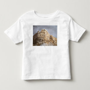T-shirt Pour Les Tous Petits Détail d'un mur en pierre