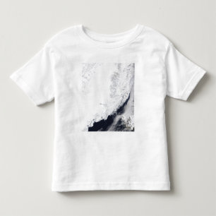 T-shirt Pour Les Tous Petits Divers types de glace de mer