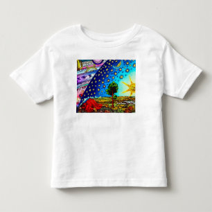 T-shirt Pour Les Tous Petits Dôme de flammarion
