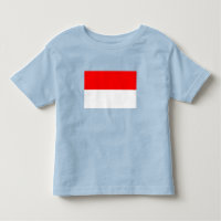 Drapeau Indonésie