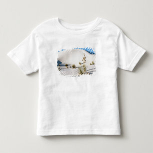 T-shirt Pour Les Tous Petits Dunes transversales et yucca à savon