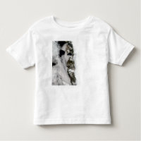 Eaux de fonte le long de la côte ouest du Groenlan