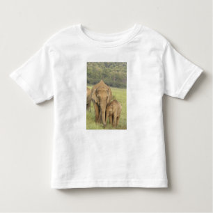 T-shirt Pour Les Tous Petits Eléphant indien / asiatique et jeune, Corbett