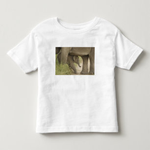 T-shirt Pour Les Tous Petits Éléphant indien / asiatique et jeune, Corbett