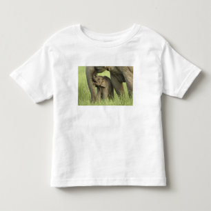 T-shirt Pour Les Tous Petits Éléphant indien / asiatique et jeune, Corbett 2