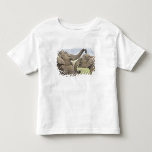 T-shirt Pour Les Tous Petits Éléphants asiatiques indiens s'amusent à se battre