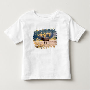 T-shirt Pour Les Tous Petits Elk in Rocky Mountain National Park, Colorado
