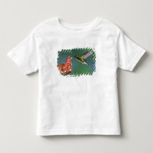 T-shirt Pour Les Tous Petits Émeraude à tête cuivrée, Elvira cupreiceps,