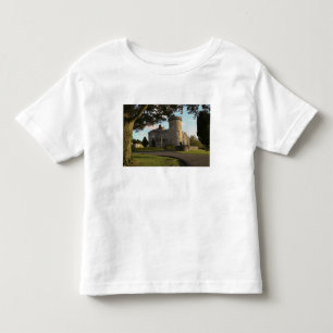 T-shirt Pour Les Tous Petits En Irlande, l'entrée latérale du château de Dromol