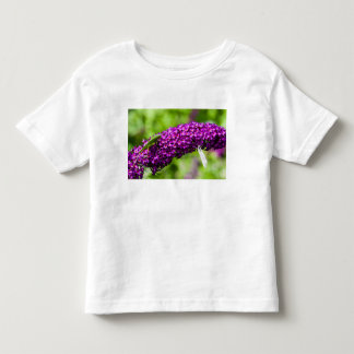 T-shirt Pour Les Tous Petits énergie katydone
