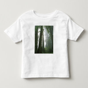 T-shirt Pour Les Tous Petits États-Unis, Californie, Parc national de Redwood,