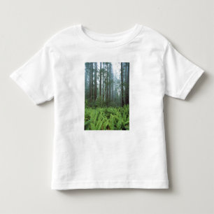 T-shirt Pour Les Tous Petits États-Unis, Californie, Parc national de Redwood.